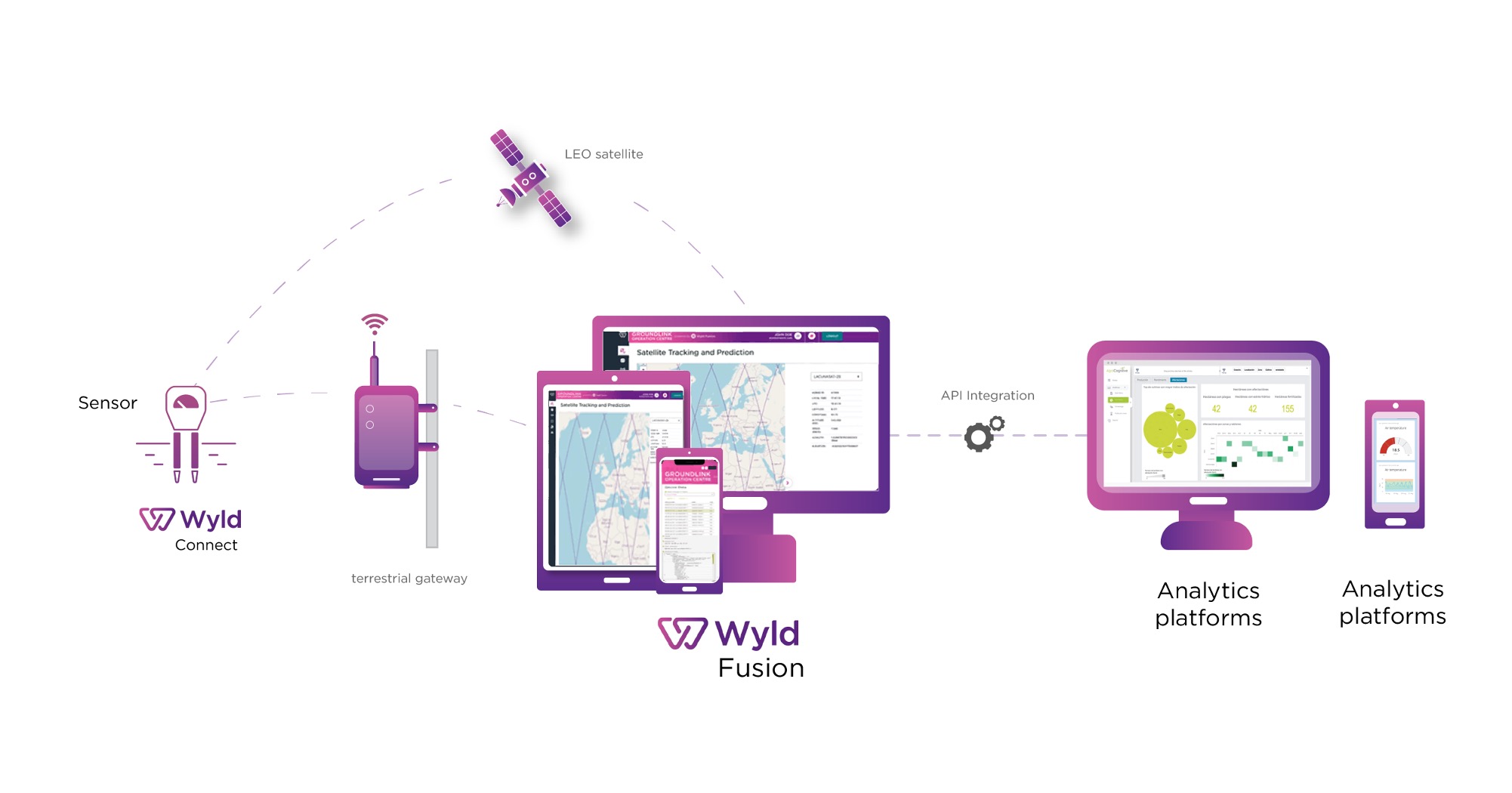 Satellite IoT Ecosystem