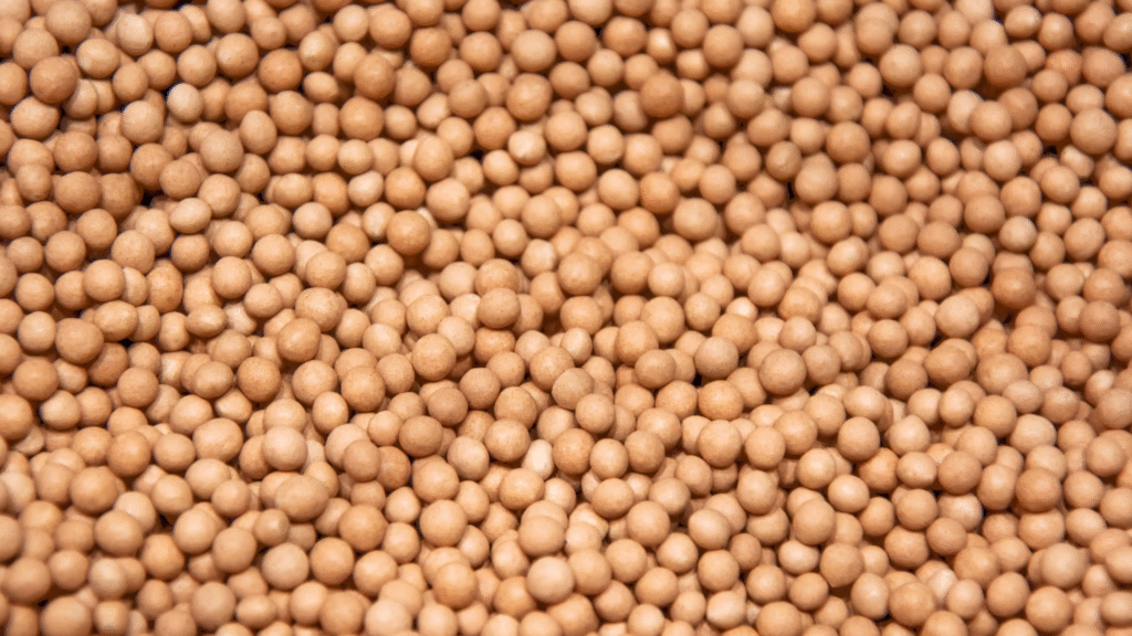 Sugar beet seeds used with precision agricultural technology