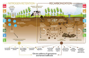 FAO soil carbon sequestration